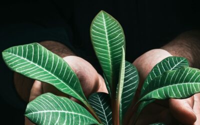 Corporate Social Responsibility Activities That Actually Make an Impact in Amsterdam