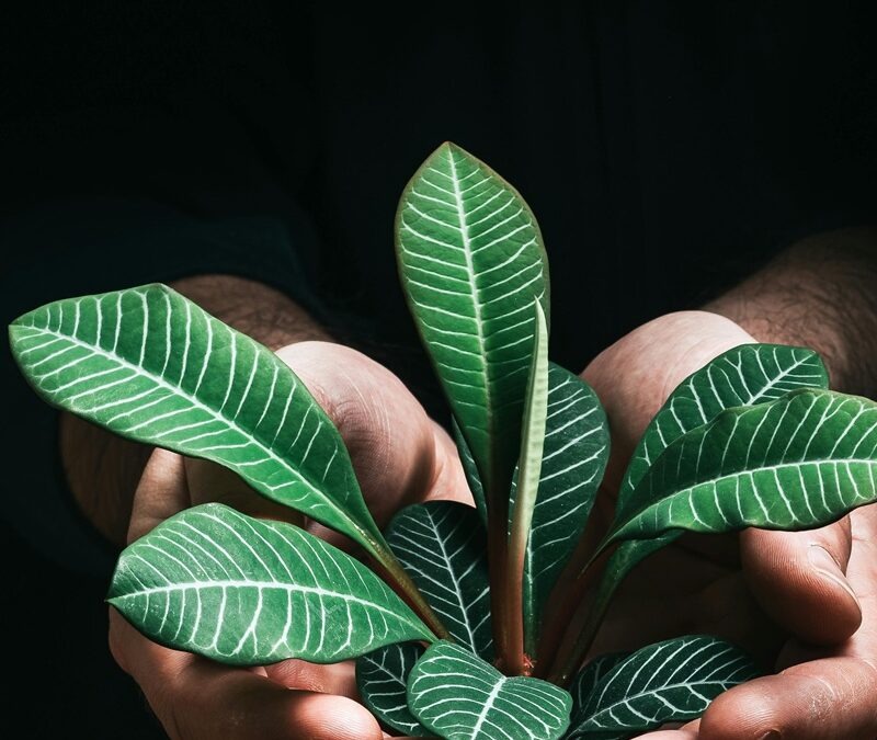 Corporate Social Responsibility Activities That Actually Make an Impact in Amsterdam